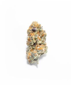 Baby J’s Girlscout Cookies